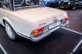 Mercedes-Benz SL 230 Pagode *Deutsch*Gelegenheit*Pappbrief - thumbnail 8