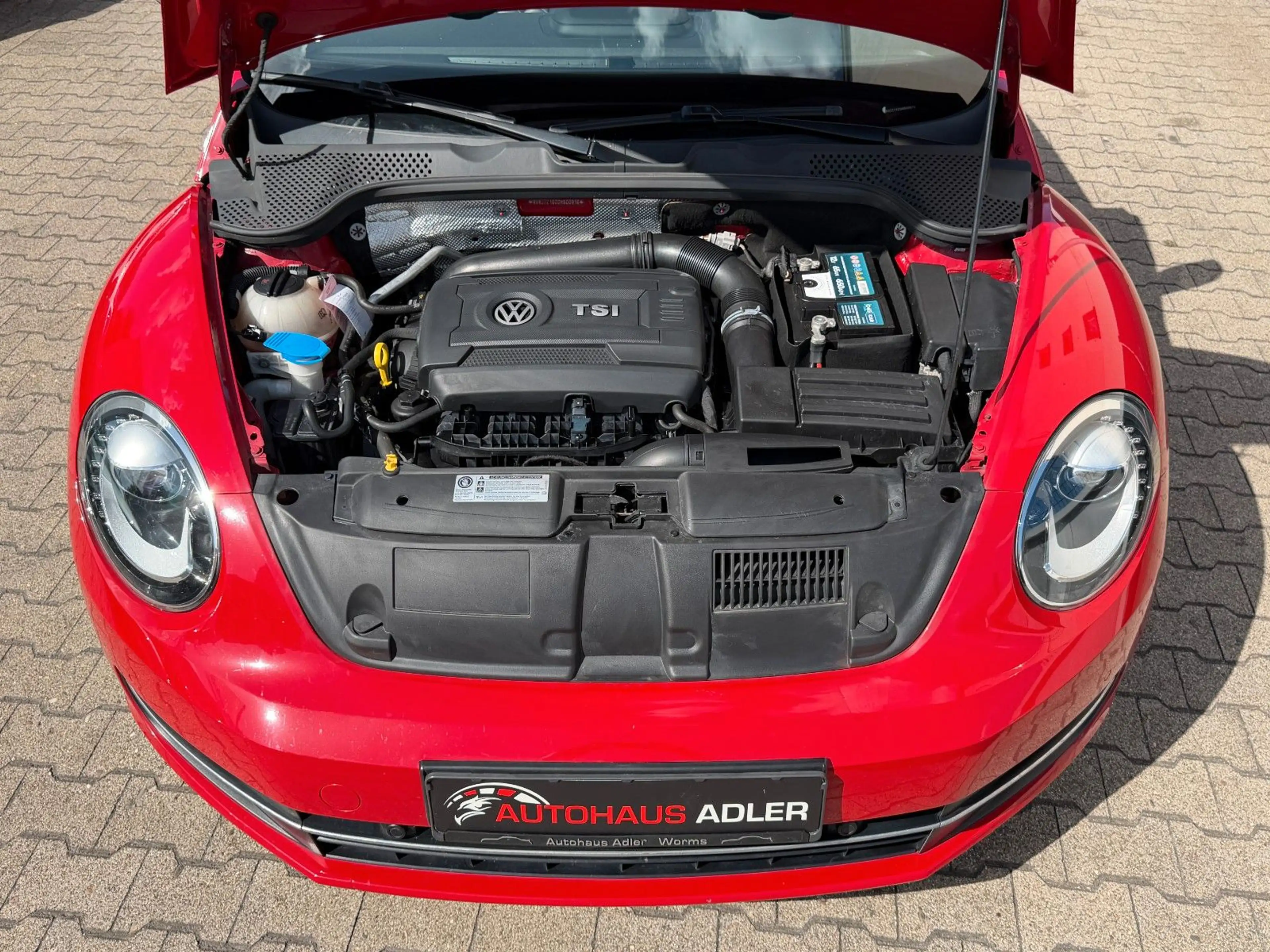 Volkswagen New Beetle Cabrio Exclusive Sport BMT*2HD*AUTOM* — photo 6