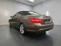 Mercedes-Benz E 500 CABRIO AMG - LINE*SCHECKHEFT*VOLL + SAUBER Gris - thumbnail 5