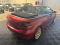 Volkswagen Golf Cabriolet 2.0 TDI BMT-STNDHZG-DYNAUDIO-ALU-DSG-LEDER-ZV- Rot - thumbnail 4