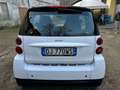 smart forTwo Fortwo 1.0 Pure 71cv Weiß - thumbnail 4
