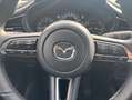 Mazda CX-30 Homura 2.5L e-SKYACTIV-G 140PS *Automatik* Gris - thumbnail 12
