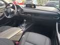 Mazda CX-30 Homura 2.5L e-SKYACTIV-G 140PS *Automatik* Gris - thumbnail 8