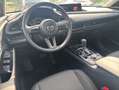 Mazda CX-30 Homura 2.5L e-SKYACTIV-G 140PS *Automatik* Gris - thumbnail 7