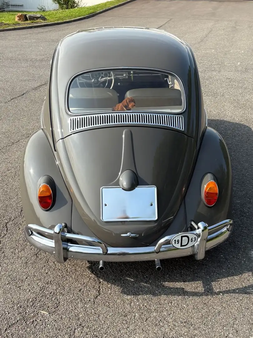Volkswagen Käfer 1200 Export Grey - 2