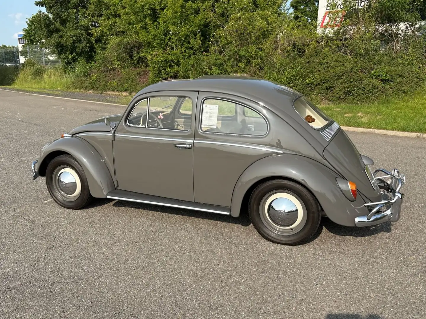 Volkswagen Käfer 1200 Export Grey - 1