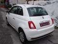 Fiat 500 1.2 dualogic ..AUTOMATICA..CRUISE CONTROL.. Blanc - thumbnail 5