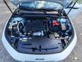 Peugeot 508 SW 1.5 bluehdi Business S&S EAT8 Blanc - thumbnail 15