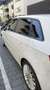 Audi A3 A3 Sportback 1.6 tdi Admired 110cv E6 Bianco - thumbnail 4