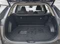 Toyota RAV 4 RAV4 2,5 Hybrid Active AWD Grau - thumbnail 9