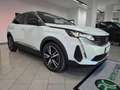 Peugeot 3008 BlueHDi 130 S&S EAT8 GT-PACK + TETTO APRIBILE Bianco - thumbnail 14