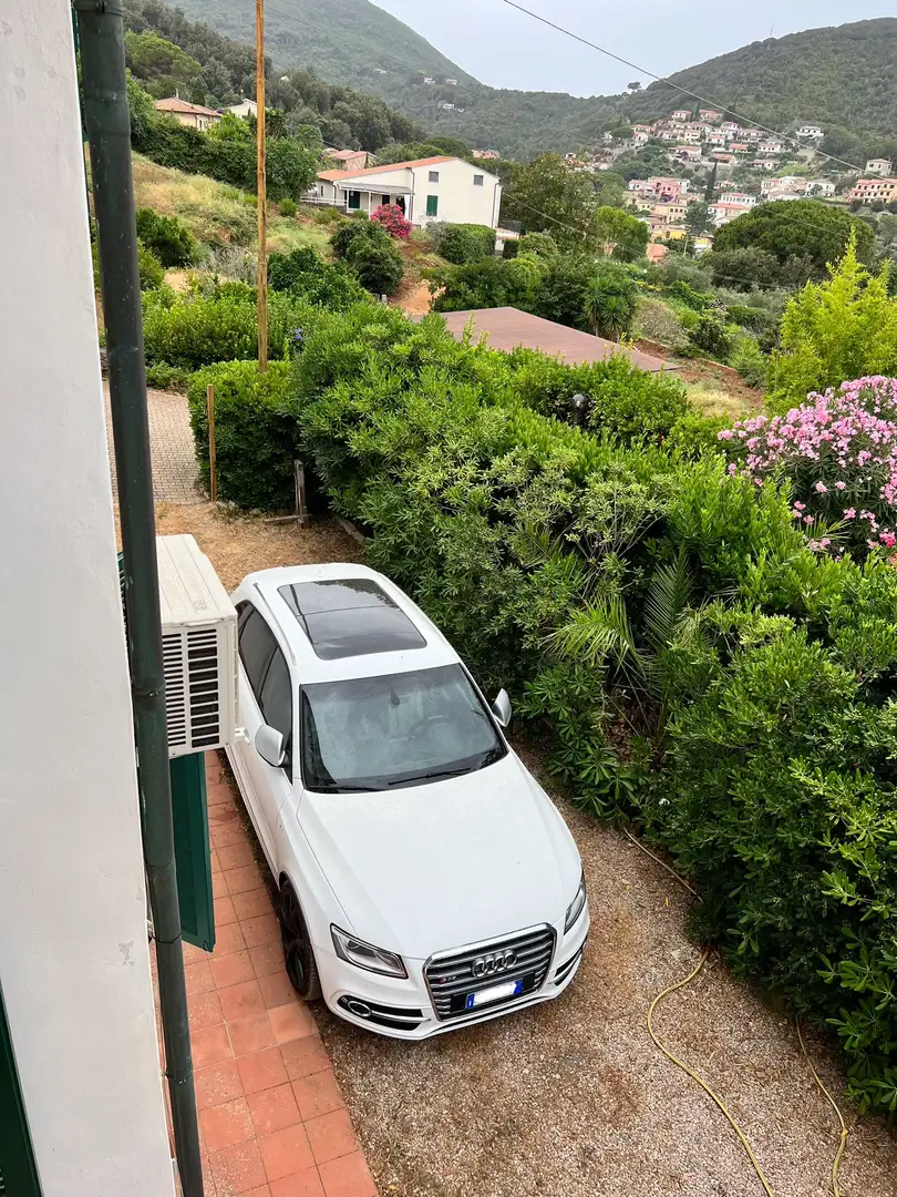 Audi SQ5 3.0 tdi biturbo Business quattro tiptronic - 2