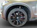 BMW X5 xDrive40d +nur an Händler/Export+ HU 8/26 Noir - thumbnail 16