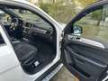 Mercedes-Benz ML 250 BlueTEC 4MATIC 7G-TRONIC Wit - thumbnail 11
