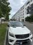 Mercedes-Benz ML 250 BlueTEC 4MATIC 7G-TRONIC Wit - thumbnail 3