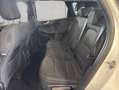 Ford Kuga 2.5 Duratec PHEV TITANIUM Weiß - thumbnail 14
