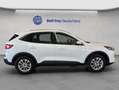 Ford Kuga 2.5 Duratec PHEV TITANIUM Weiß - thumbnail 7