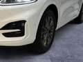 Ford Kuga *Plug-In Hybrid*ST-Line X*RFK*WinterPaket*CarPlay* Weiß - thumbnail 6