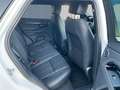 Land Rover Range Rover Evoque RR Evoque D200 R-DYNAMIC SE AWD Automatik ACC Weiß - thumbnail 5