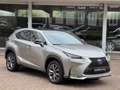 Lexus NX 300h AWD F Sport Line||Pano|Camera|Leer|Sublieme staat Grau - thumbnail 1