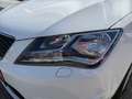 SEAT Toledo 1.0 TSI Style Facelift KlimaA LM PDC SHZ Weiß - thumbnail 4