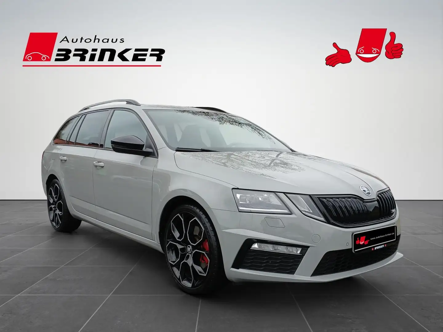 Skoda Octavia Combi RS 2.0 TDI DSG 4x4 AHK LED Navi Grau - 1
