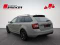 Skoda Octavia Combi RS 2.0 TDI DSG 4x4 AHK LED Navi Grau - thumbnail 4
