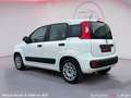 Fiat Panda 1.2i Lounge Blanc - thumbnail 4