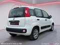 Fiat Panda 1.2i Lounge Blanc - thumbnail 3