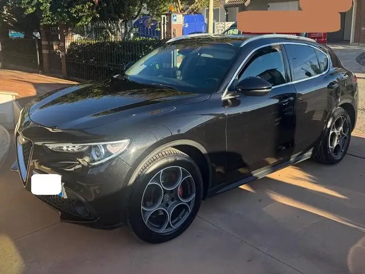 Alfa Romeo Stelvio Stelvio 2020 2.2 t Super rwd 160cv auto