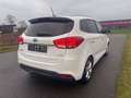 Kia Carens 1,7 CRDI Edition 7-Sitzer-Navi-Eur5 Weiß - thumbnail 3