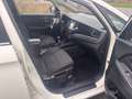 Kia Carens 1,7 CRDI Edition 7-Sitzer-Navi-Eur5 Weiß - thumbnail 13