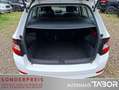Skoda Fabia Combi 1.0 TSI Active Klima el.FH LM 15'' Weiß - thumbnail 10