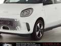 smart forFour FORFOUR EQ EXCLUSIVE*WINTER*22KW Passion Weiß - thumbnail 8