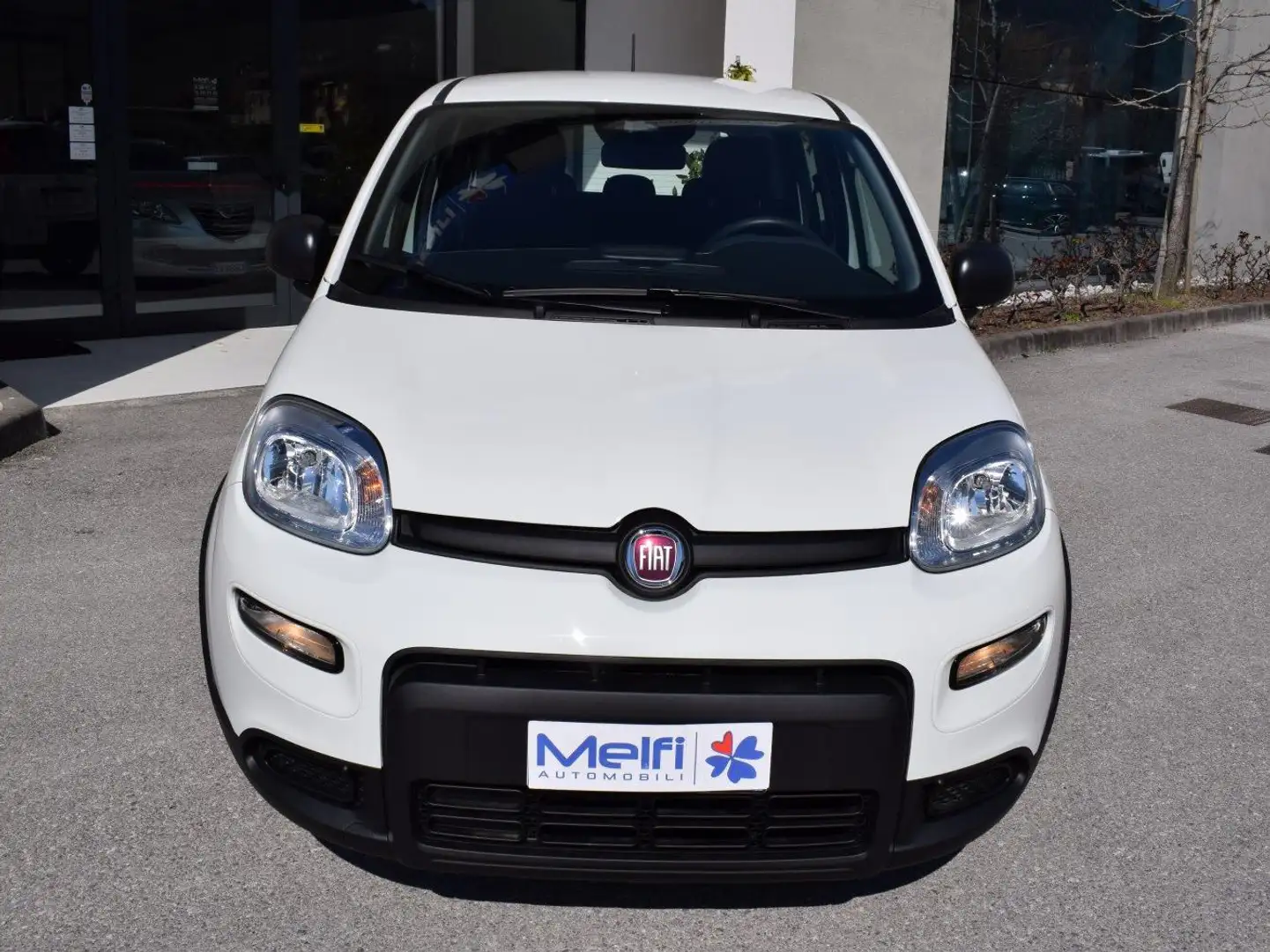 Fiat Panda 2025 1.0 70cv Hybrid S&S Bianco - 2