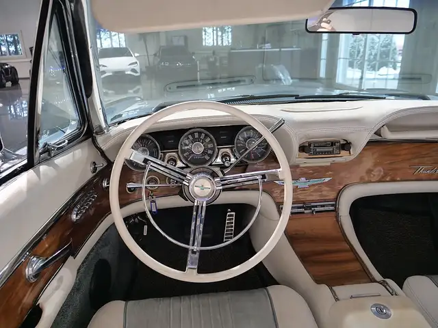 Ford Thunderbird Ansicht 15