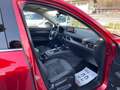 Mazda CX-5 Homura AWD Allrad Rot - thumbnail 9