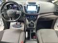 Ford C-Max 1.6 Titanium Gpl 120cv Weiß - thumbnail 11