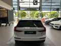 Volvo V60 Cross Country B4 AWD Pro LED R.Cam AHK Weiß - thumbnail 6