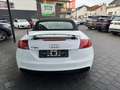 Audi TT RS + *S. TRONIC*ALCANTARA*NAVI*XENON* Blanc - thumbnail 9