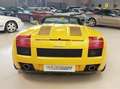 Lamborghini Gallardo Gallardo Spider 5.0 520 e-gear Giallo - thumbnail 5