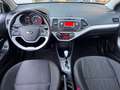 Kia Picanto Automatik Sitzheiz. Klimatronik PDC hinten Spirit Weiß - thumbnail 8
