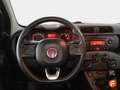 Fiat Panda 1.2 Easy Blanco - thumbnail 12