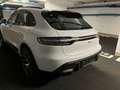 Porsche Macan Macan, Panoramadach, SAGA, Sport-Chrono Weiß - thumbnail 18