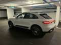 Porsche Macan Macan, Panoramadach, SAGA, Sport-Chrono Weiß - thumbnail 11