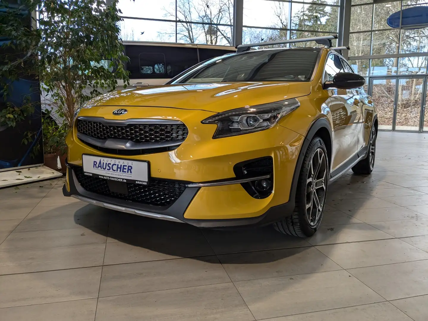Kia XCeed 1.6l 150 kW Launch Edition Sarı - 2