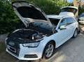 Audi A4 A4 Avant 2,0 TDI Sport Sport Weiß - thumbnail 1