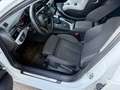 Audi A4 A4 Avant 2,0 TDI Sport Sport Weiß - thumbnail 16