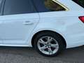 Audi A4 A4 Avant 2,0 TDI Sport Sport Weiß - thumbnail 15