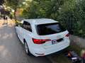 Audi A4 A4 Avant 2,0 TDI Sport Sport Weiß - thumbnail 14